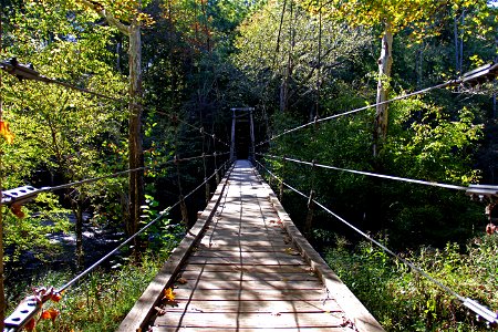 Eno River State Park Foot Bridge