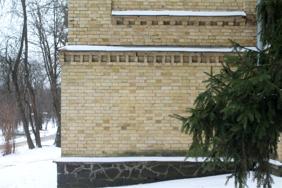 Pine and a brick wall