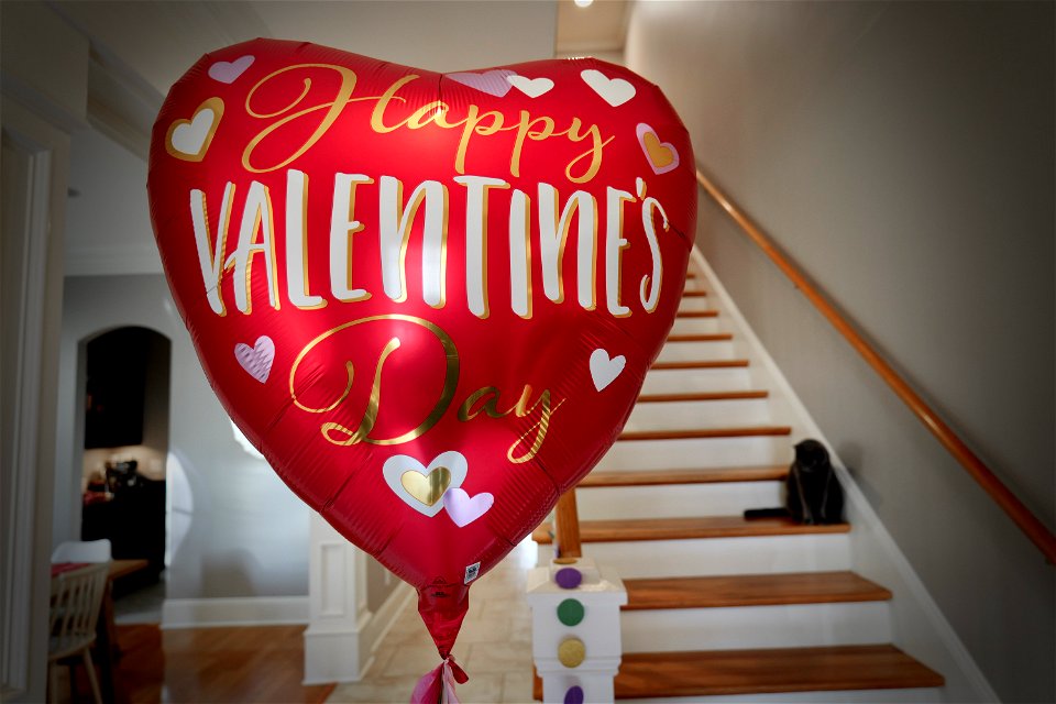 Valentine's Day