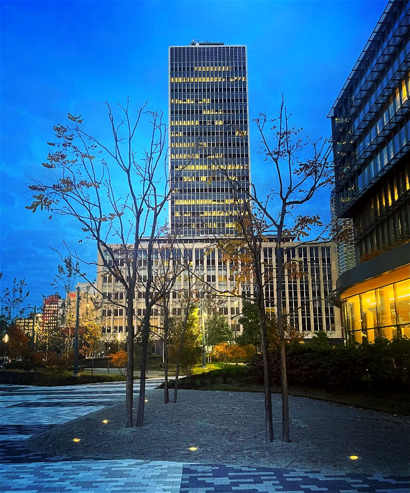 Downtown Indianapolis City-County building