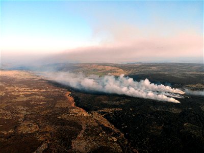 Egton High Moor, nr Whitby, North Yorkshire