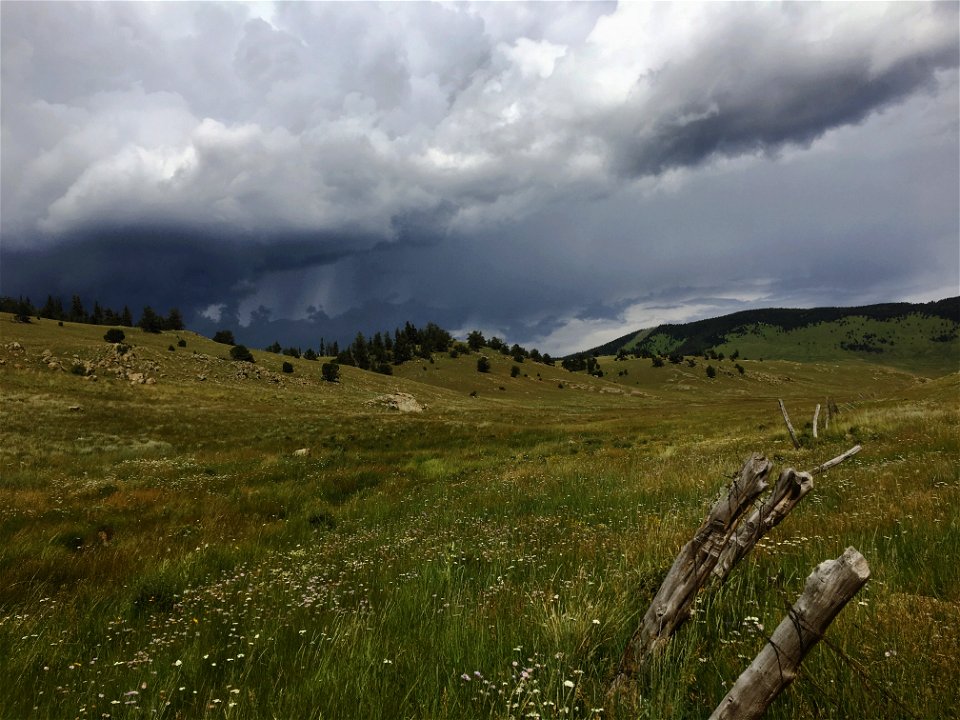 Monsoons-Carson-001