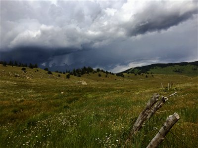 Monsoons-Carson-001