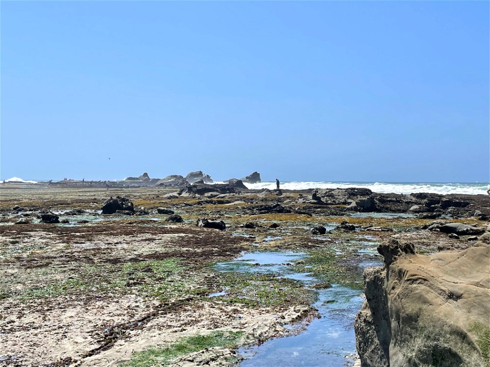 People Visiting Reef 1