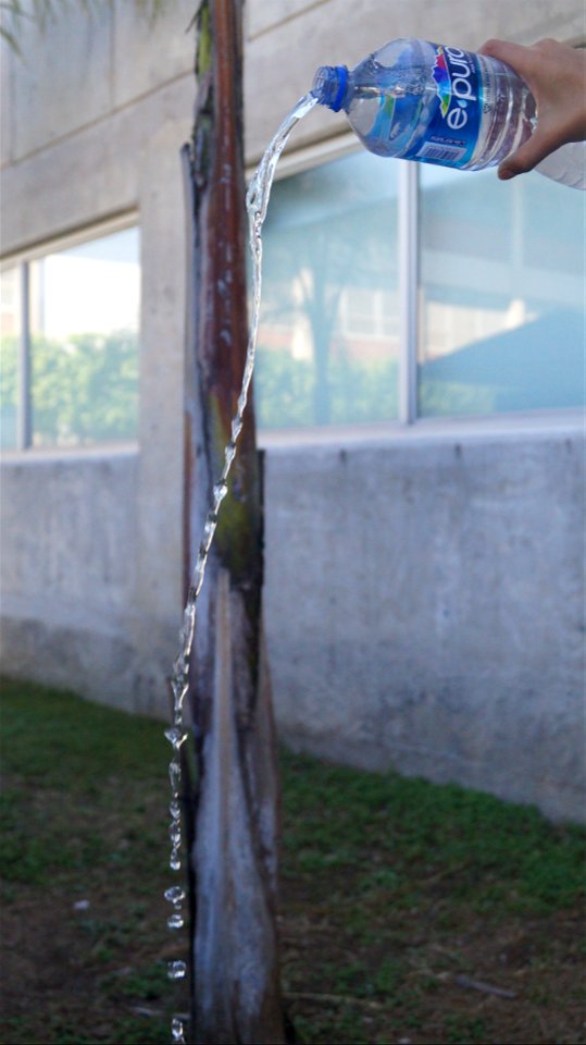 Congelado de Liquido (2).