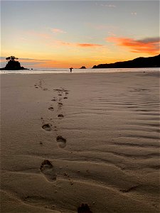 Sunrise footprints in sand photo