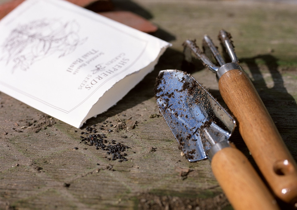Seed with garden tools.