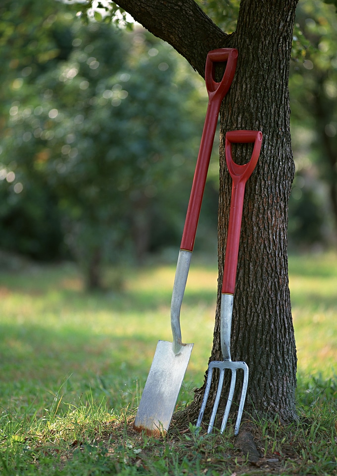 Gardening tools on tree