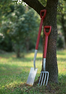 Gardening tools on tree photo