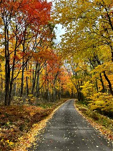 Allegheny National Forest Trip 2022 photo