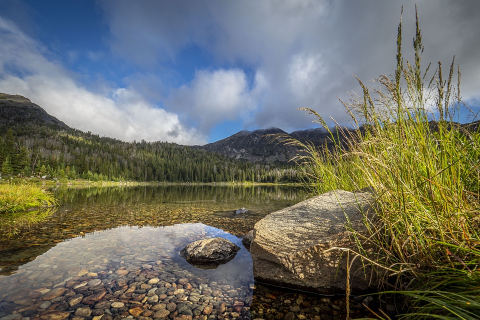 Beaverhead Deerlodge National Forest in Montana