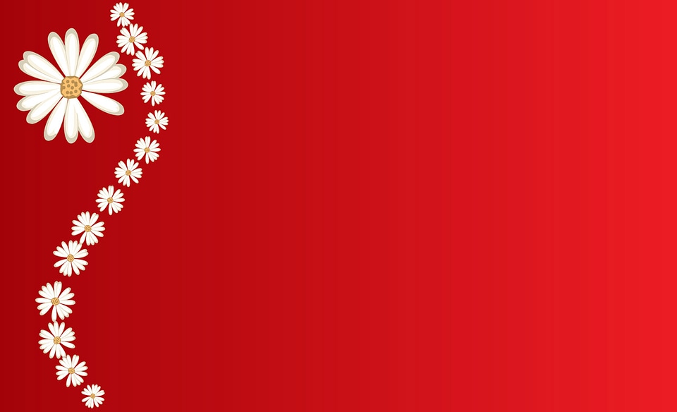 Daisies On Red Background