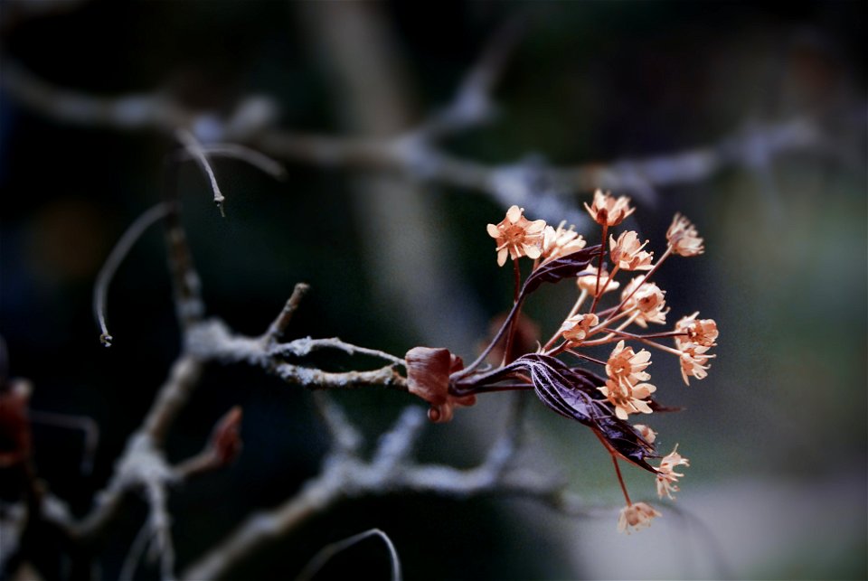 dorota-dylka-ulreZ0ubl8A-unsplash