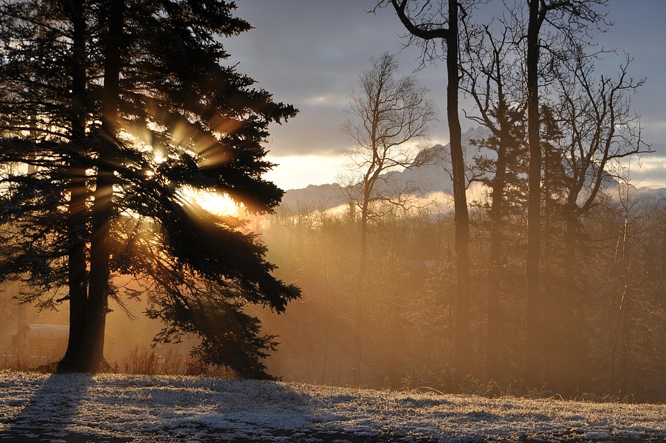Sun glow frost