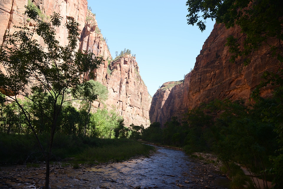 Amazing landscape of canyon in Zion National Park, The Narrow