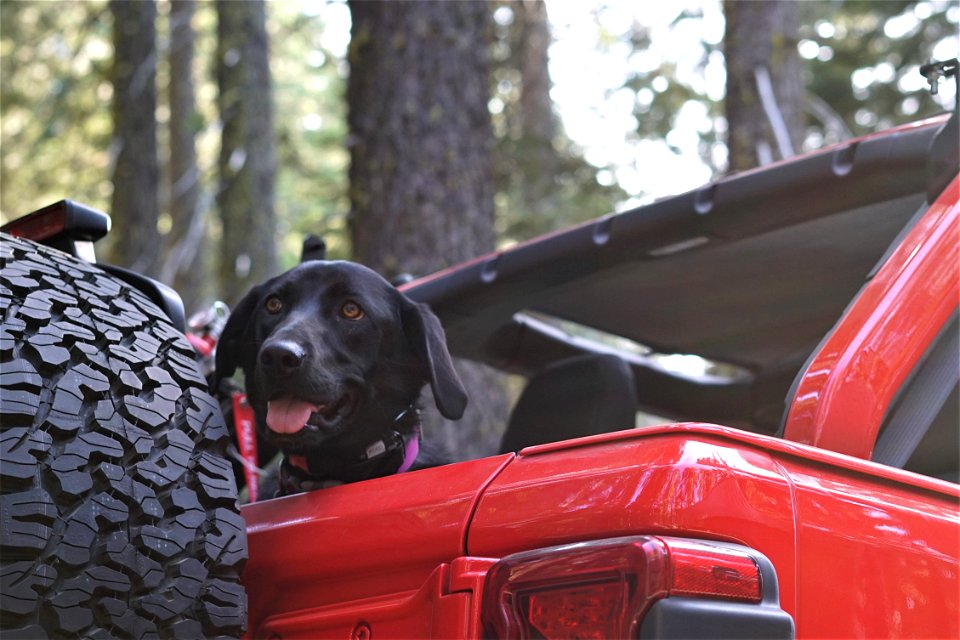Coco Camping Trip