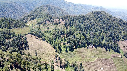 SEIARN_SEIF_DSIA_FERNANDO_VALDEZ_CALDERÓN_DJI_0249