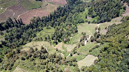 SEIARN_SEIF_DSIA_FERNANDO_VALDEZ_CALDERÓN_DJI_0063