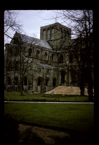 Winchester Cathedral photo