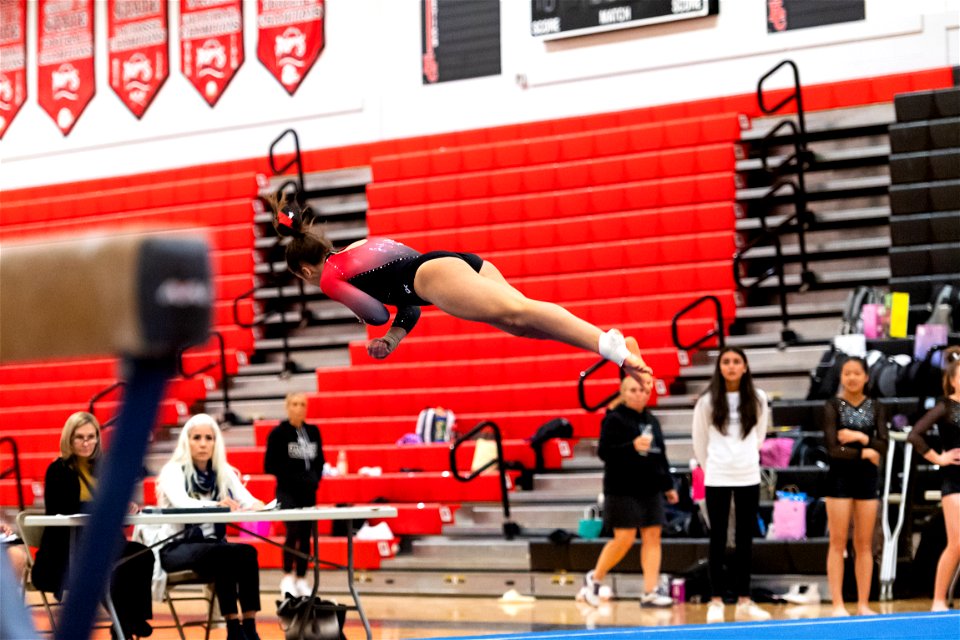 Gymnastics-2595