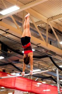 Gymnastics-2113