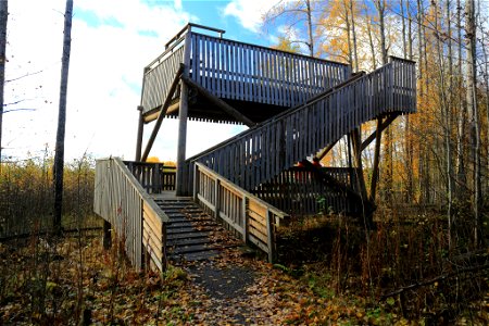 Kasinniemen lintutorni, Siikalahti
