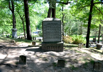 The Thoreaus' gravesite