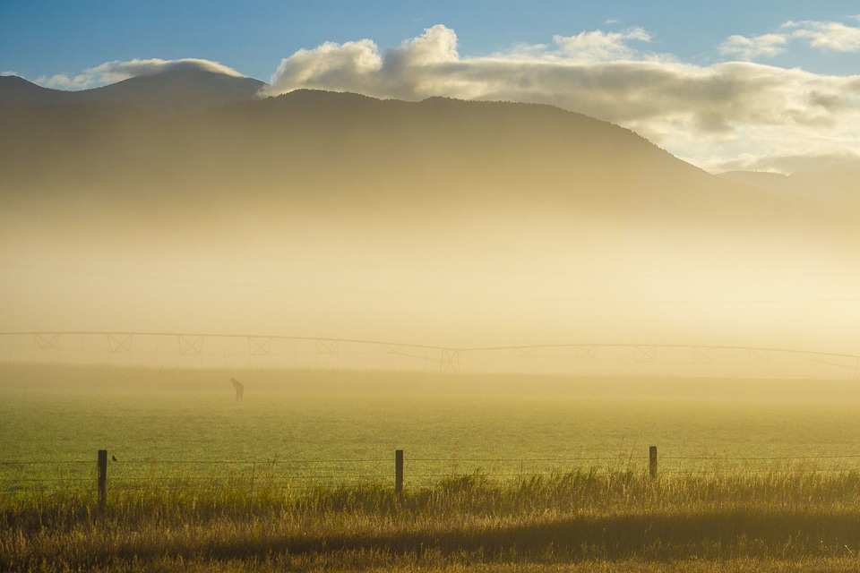 Beaverhead Deerlodge National Forest in Montana