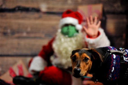 City of Elderly Love Claus for Paws Fundraiser