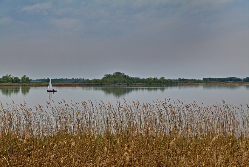 NSG Rangsdorfer See 02