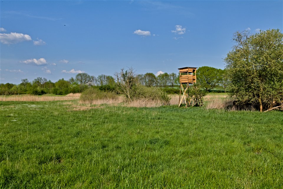 NSG Flutgrabenaue Waltersdorf 01