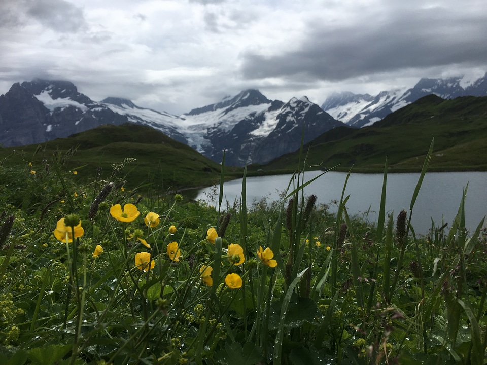 Jungfrau,Monch,Eiger North Oberland,Switzerland