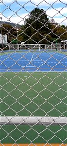 Cancha
