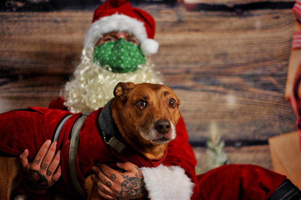 City of Elderly Love Claus for Paws Fundraiser