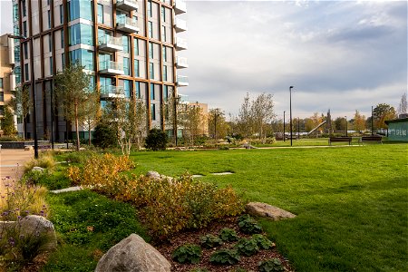 181104 Woodberry Down + Spring Park SuDS (11 of 19)