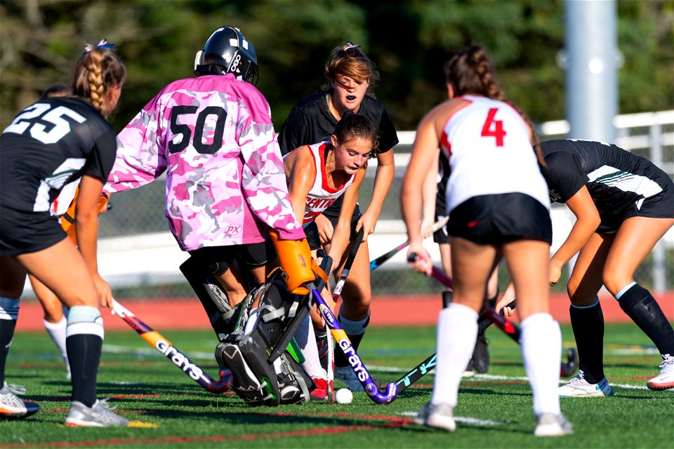 HC vs Ridge-8066