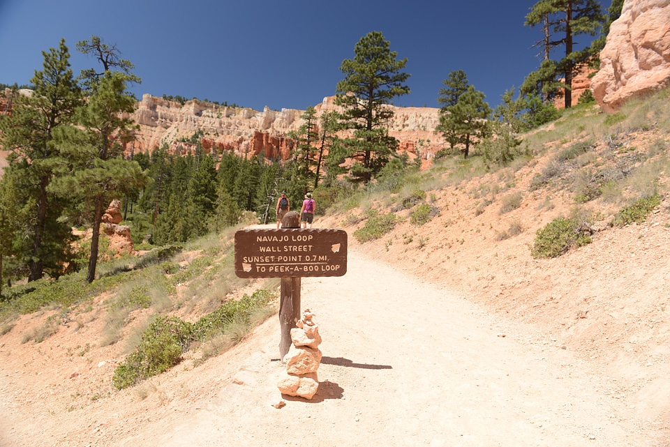 Sun is shining in the early morning. Bryce Canyon National Park