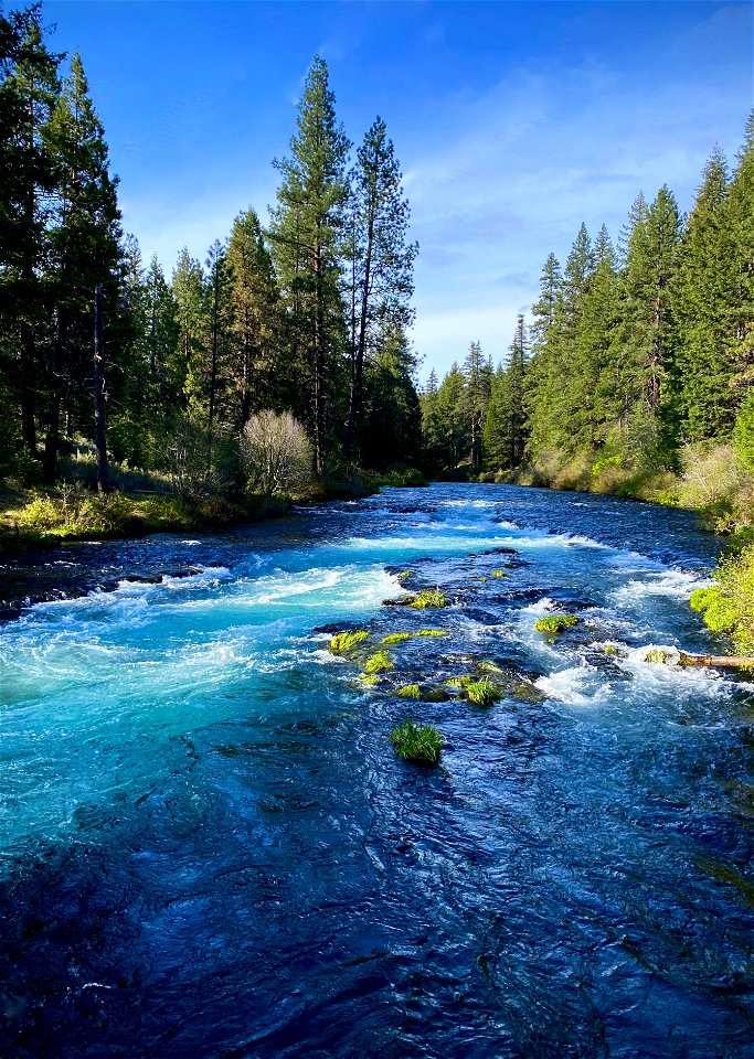 Marvelous Metolius Morning