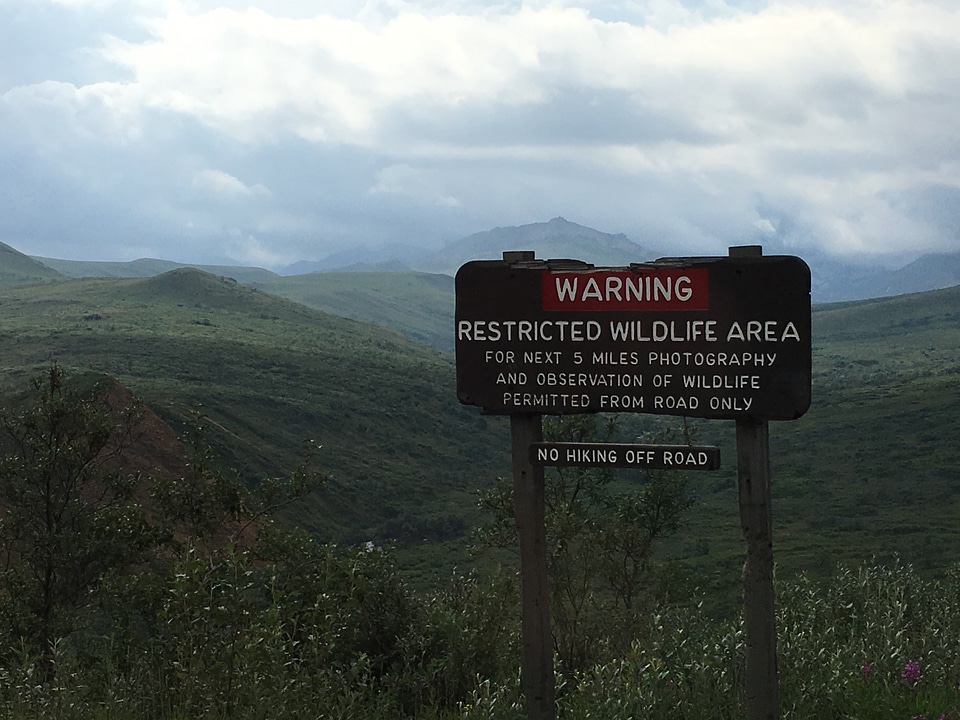 Walking trail near Haines Alaska in summer