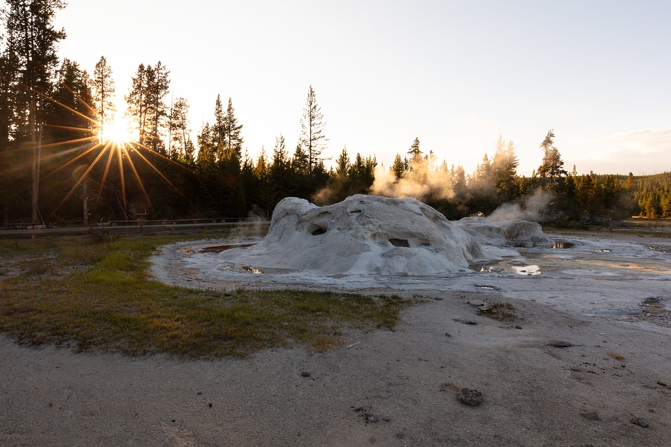 Grotto Geyser in Yellowstone National Park