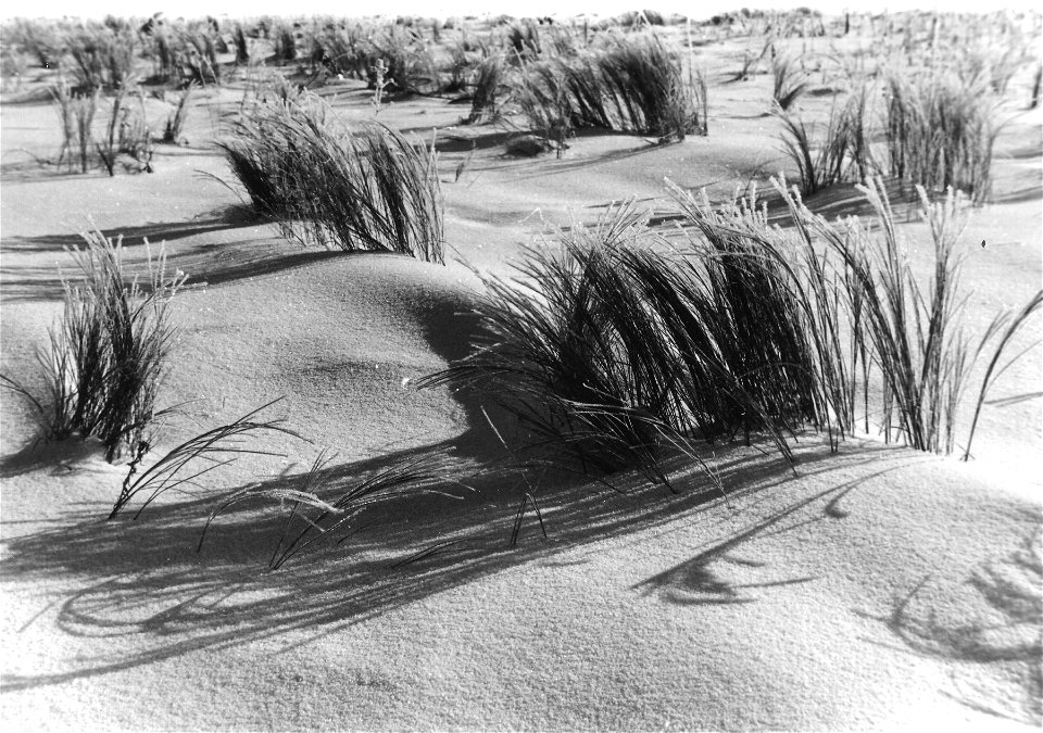 Image0004 (1)