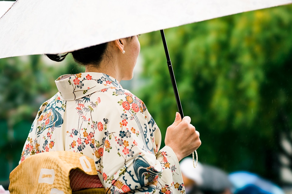 Northern California Cherry Blossom Festival