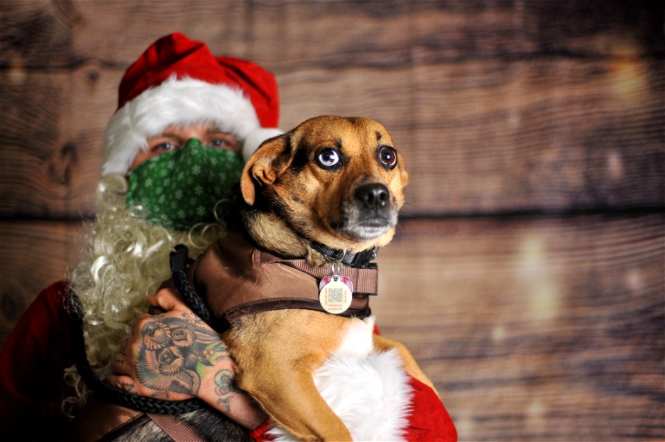 City of Elderly Love Claus for Paws Fundraiser