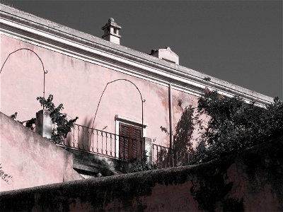 IMG_0985