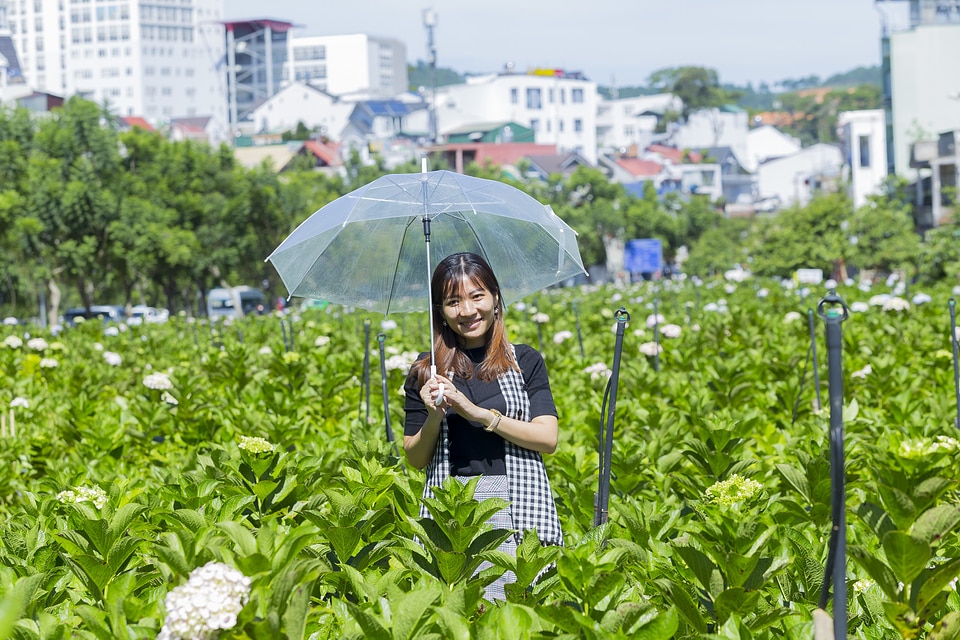 Beautiful Asian Girl smell of the flower