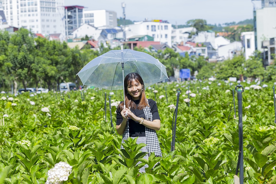 Beautiful Asian Girl smell of the flower photo