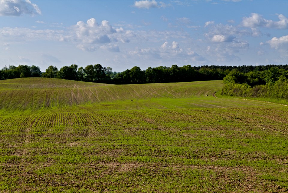 BR Schorfheide-Chorin 03