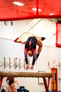 Gymnastics-2409
