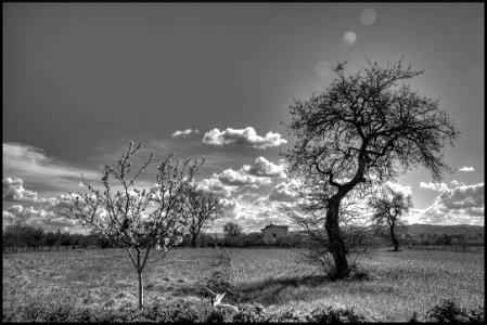 Campagna di Larino photo