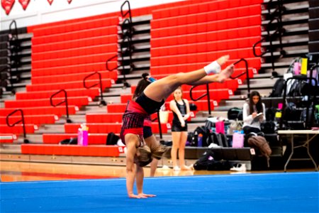 Gymnastics-2297